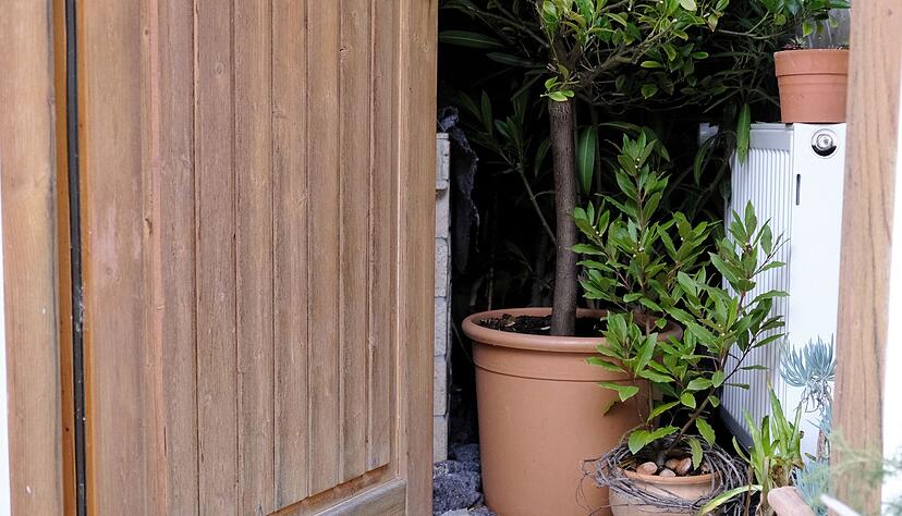 Bei der Suche nach einem geeigneten Winterquartier für Pflanzen sind Temperatur und Licht entscheidende Faktoren. Bei der Suche nach einem geeigneten Winterquartier für Pflanzen sind Temperatur und Licht entscheidende Faktoren.