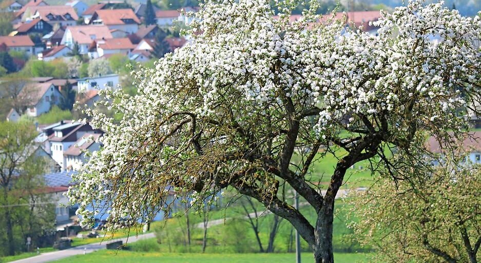 In den St&auml;dten und D&ouml;rfern genie&szlig;en die Menschen den Duft und die Farben des Fr&uuml;hlings und haben ihre Gartenm&ouml;bel auf Terrassen und Balkone gestellt.