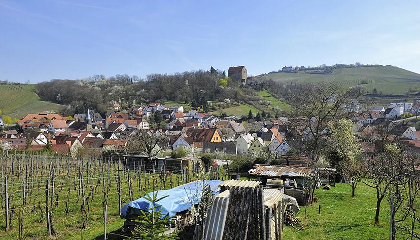 In Cleebronn konnten die Bürger am Sonntag ihre Stimme bei der Kommunalwahl abgeben. In Cleebronn konnten die Bürger am Sonntag ihre Stimme bei der Kommunalwahl abgeben.