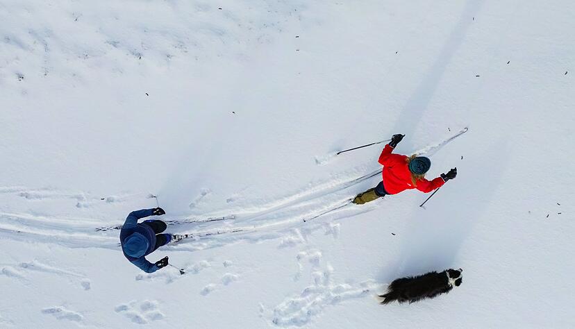 F&uuml;r gemeinsame Wintertouren eignen sich Langlauf-Gebiete mit speziellen Hunde-Loipen.