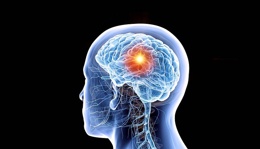 Foto: SciePro/stock.adobe.com