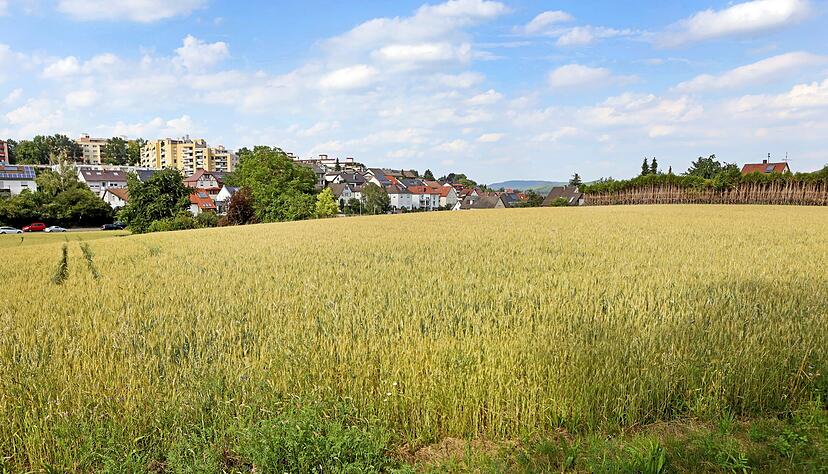 Mit dem zweiten Baugebiet f&uuml;r 1100 Einwohner unterhalb der Sachsen&auml;cker w&auml;chst Neckargartach auf landwirtschaftlich genutzter Fl&auml;che. Die Verkehrsanbindung wird hinterfragt.
Foto: Ralf Seidel