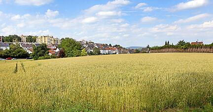 Mit dem zweiten Baugebiet f&uuml;r 1100 Einwohner unterhalb der Sachsen&auml;cker w&auml;chst Neckargartach auf landwirtschaftlich genutzter Fl&auml;che. Die Verkehrsanbindung wird hinterfragt.
Foto: Ralf Seidel