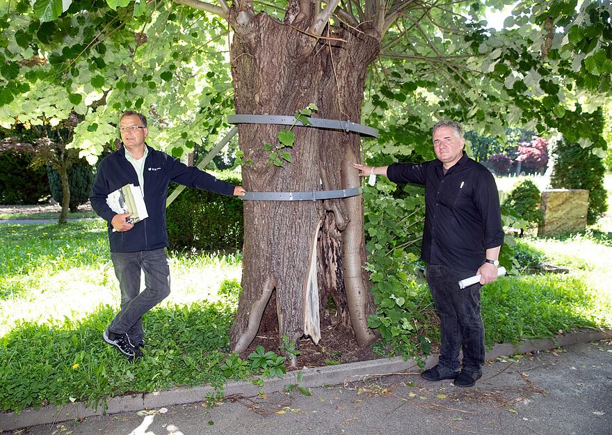 Hauptfriedhof Heilbronn Hauptfriedhof Heilbronn
