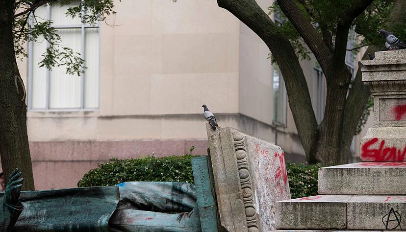 Auch eine Statue des Südstaaten-Generals Albert Pike wurde bei den Protesten beschmiert und vom Sockel gestürzt. (Archivbild) Auch eine Statue des Südstaaten-Generals Albert Pike wurde bei den Protesten beschmiert und vom Sockel gestürzt. (Archivbild)