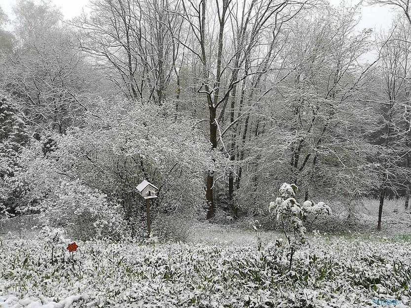 Wüstenrot