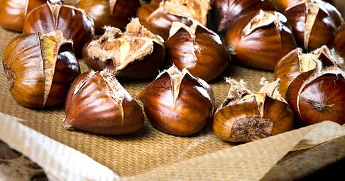 Im Backofen können Maronen selbst geröstet werden. Zuvor sollten sie mit einem scharfen Messer über Kreuz eingeschnitten werden.