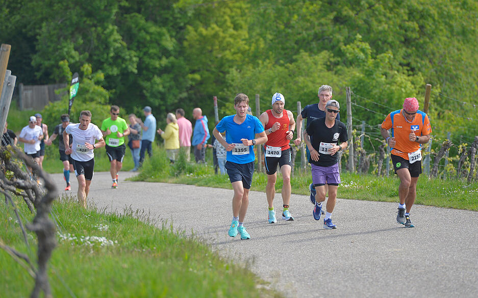 20. Trollinger Marathon - ab durch die Weinberge