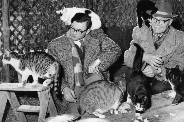 Dezember 1962. Weihnachtsbescherung im Tierheim - heute gibt es ein fürstliches Katzen-Menue. Dezember 1962. Weihnachtsbescherung im Tierheim - heute gibt es ein fürstliches Katzen-Menue.
