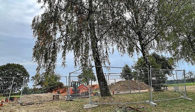 330 000 Euro sind im Haushalt für die diesjährigen Arbeiten eingestellt.