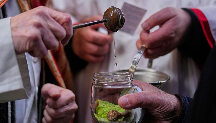 Die Tradition der katholischen Tiersegnung geht auf das Mittelalter zur&uuml;ck. Fr&uuml;her lie&szlig;en die Bauern ihr Vieh segnen, heute sind es vor allem St&auml;dter, die ihre Lieblinge immer an einem 17. Januar, dem Fest von San Ant&oacute;n, dem Schutzeiligen der Tiere, zur Kirche tragen.