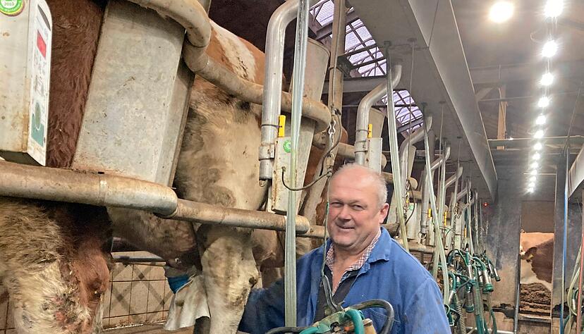 Bernd Weibler wischt die Euter der Tiere im Melkstand mit einem Tuch ab. Etwa zwei Stunden dauert es, bis alle seine Kühe die Anlage durchlaufen haben.