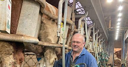 Bernd Weibler wischt die Euter der Tiere im Melkstand mit einem Tuch ab. Etwa zwei Stunden dauert es, bis alle seine Kühe die Anlage durchlaufen haben.