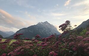 Abendstimmung auf der Terrasse des Föhrenhofs in Stanzach – dazu ein Glas Rotwein. Oder zwei. Die Etappe war schließlich ziemlich lang. Foto: Stefanie Sapara Abendstimmung auf der Terrasse des Föhrenhofs in Stanzach – dazu ein Glas Rotwein. Oder zwei. Die Etappe war schließlich ziemlich lang. Foto: Stefanie Sapara