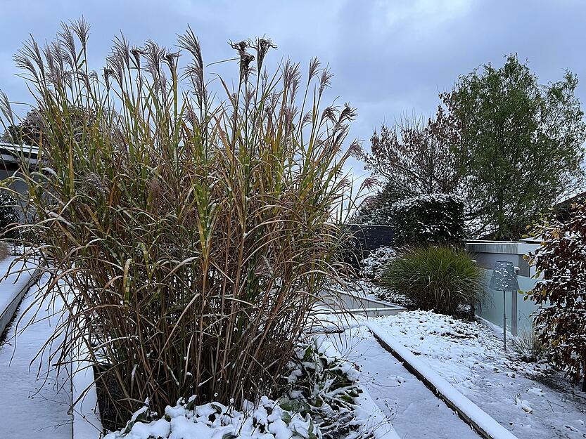 In Roigheim ist der erste Schnee gefallen.