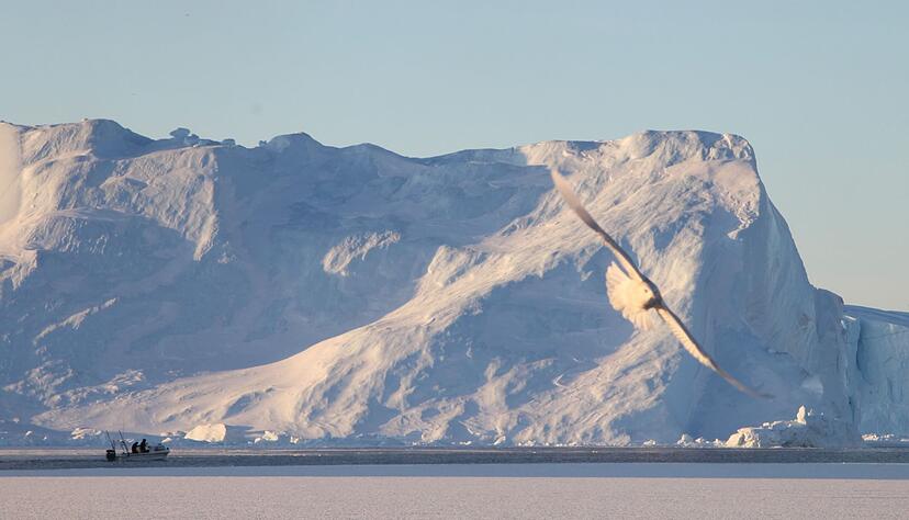 Kleines Boot vor riesigen Eisbergen.