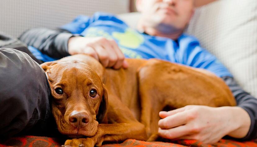 Im Kontakt mit Tieren schüttet unser Körper Oxytocin aus. Dieser Effekt kommt tiergestützten Therapien zugute. Im Kontakt mit Tieren schüttet unser Körper Oxytocin aus. Dieser Effekt kommt tiergestützten Therapien zugute.