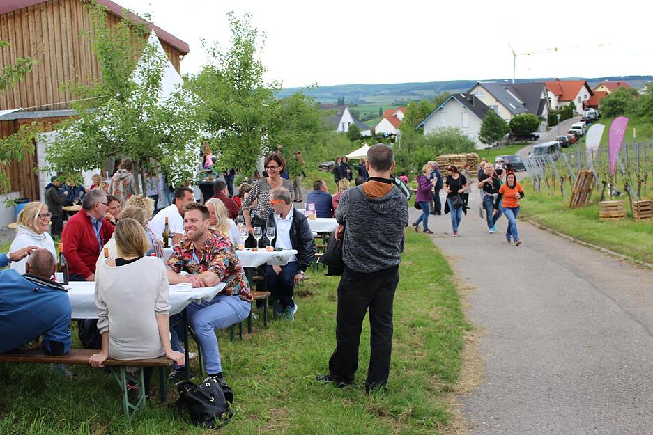 Wein über Berg und Tal in Löwenstein