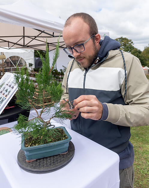 "Garten und Genuss" im Bad Rappenauer Salinenpark – Neuheiten warten auf Besucher