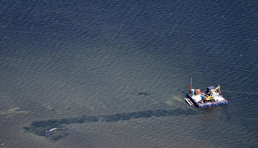 Eine Rinne f&uuml;hrt vom Wal in tieferes Gew&auml;sser (Aufnahme aus einem Flugzeug)