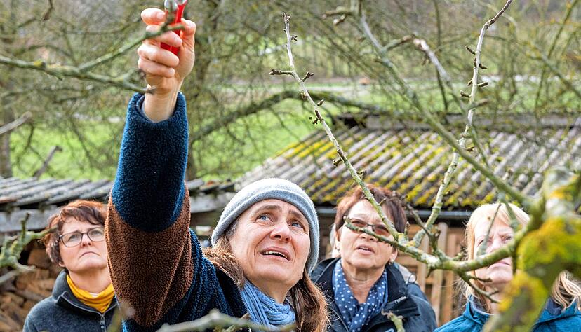 Karin Öchslen erklärt den Frauen, woran man sieht, welche Triebe weichen müssen. Foto: Mario Berger Karin Öchslen erklärt den Frauen, woran man sieht, welche Triebe weichen müssen. Foto: Mario Berger