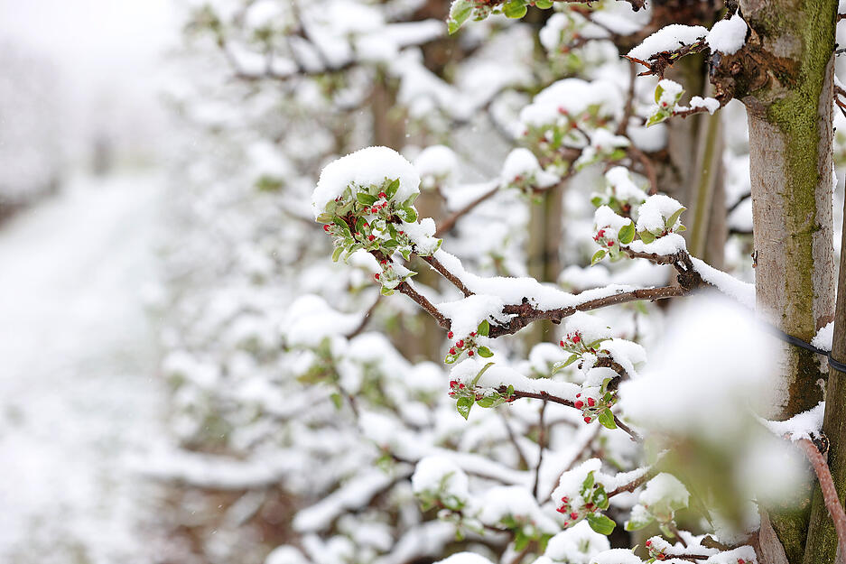 Schnee im April