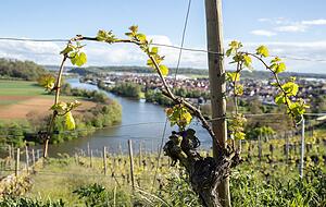 Urlaub in der Nähe machen: Die schönen Seiten der Region wollen in Zeiten der Pandemie mehr Menschen sehen &minus; das ist die Hoffnung des Tourismus.
Fotos: Andreas Veigel