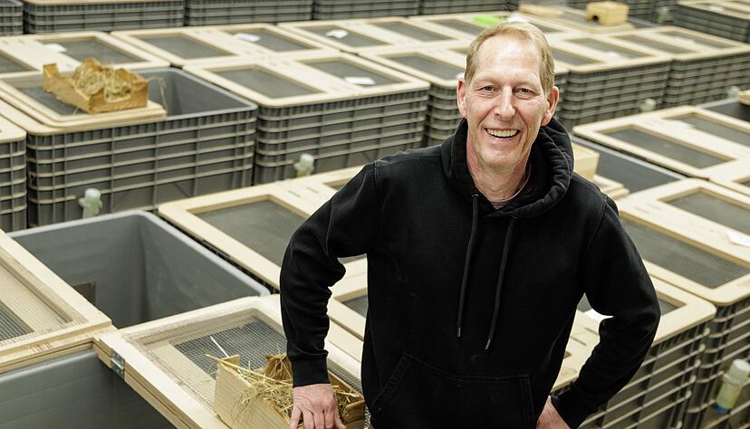 Tierpfleger Jörg Kritschker bringt die für die Verpaarung vorgesehenen Weibchen und Männchen zusammen. Tierpfleger Jörg Kritschker bringt die für die Verpaarung vorgesehenen Weibchen und Männchen zusammen.