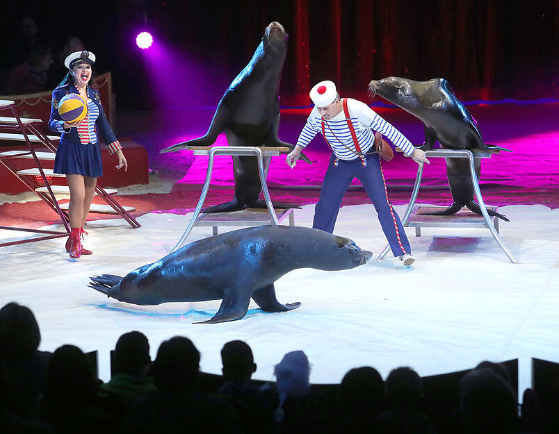 Premiere Heilbronner Weihnachtszirkus