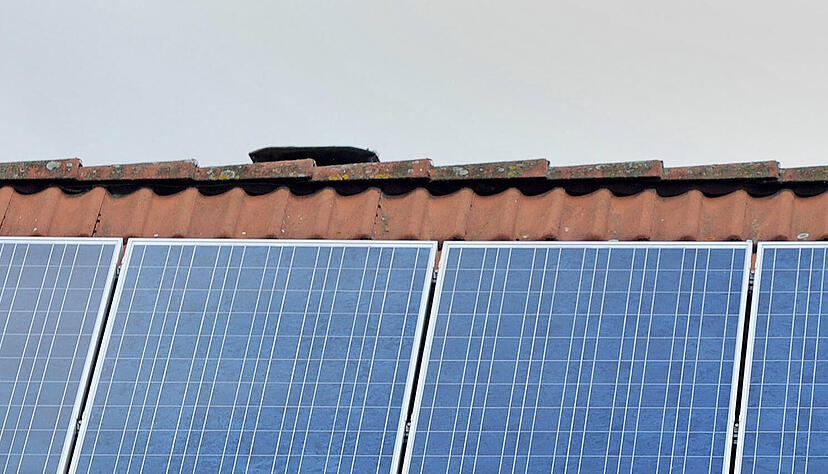Die Kreisverwaltung will prüfen, auf welchen der untersuchten Flächen Photovoltaikanlagen errichtet werden können.
Foto: dpa Die Kreisverwaltung will prüfen, auf welchen der untersuchten Flächen Photovoltaikanlagen errichtet werden können.
Foto: dpa
