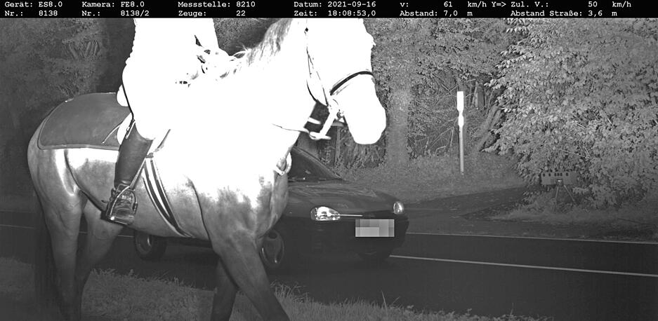Tierische Rettung: Auch hier lief ein Pferd genau beim Auslösen des Blitzers vor die Kamera, und verdeckt somit das Gesicht des Rasers. Tierische Rettung: Auch hier lief ein Pferd genau beim Auslösen des Blitzers vor die Kamera, und verdeckt somit das Gesicht des Rasers.