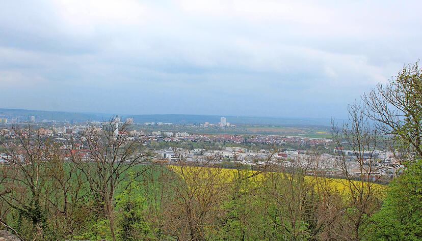 Die Wiese Schanzacker liegt zwischen Ludwigsburg, Tamm und Asperg. Die Fläche gehört dem Land Baden-Württemberg.
Foto: Theresa Heil
