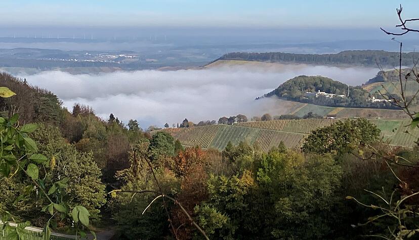Blick von der L&ouml;wensteiner Aussichtsplattform "Platte" in Richtung Heilbronn bei Talnebel. In der Bildmitte rechts ist die Evangelische Tagungsst&auml;tte L&ouml;wenstein zu sehen.