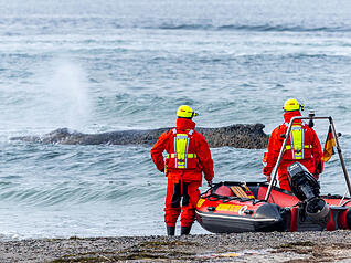 Rettungskr&auml;fte beobachten vom Strand aus den Wal, der an der Ostseek&uuml;ste gestrandet ist.