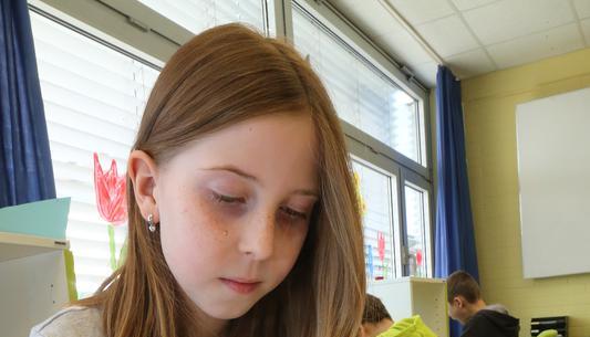 Jedes Fach hat eine spezielle Farbe im Lerntagebuch, das die Schüler führen. Jedes Fach hat eine spezielle Farbe im Lerntagebuch, das die Schüler führen.