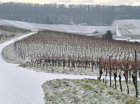 Am Dienstagmorgen ist die Region Heilbronn mit einer d&uuml;nnen Schneedecke erwacht.