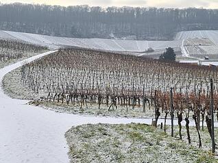 Am Dienstagmorgen ist die Region Heilbronn mit einer d&uuml;nnen Schneedecke erwacht.
