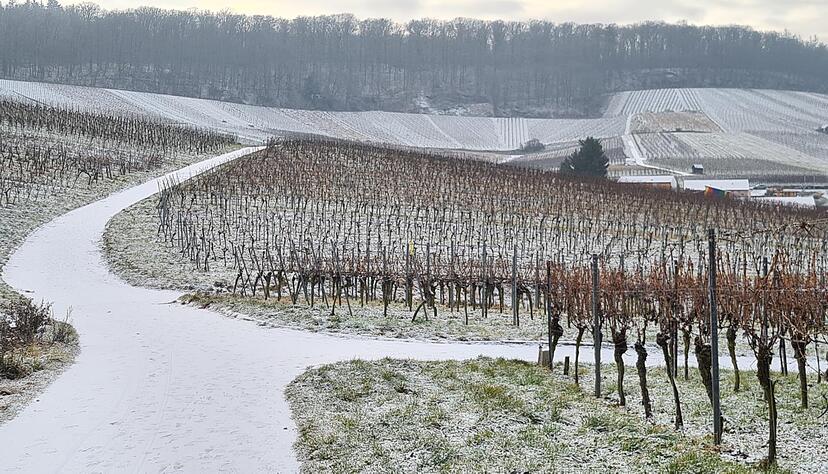 Am Dienstagmorgen ist die Region Heilbronn mit einer dünnen Schneedecke erwacht. Am Dienstagmorgen ist die Region Heilbronn mit einer dünnen Schneedecke erwacht.
