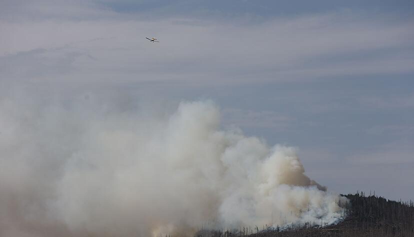 Vor zwei Jahren hatte der Landkreis Harz den Katastrophenfall wegen eines Brandes am Brocken ausgerufen - jetzt ist dort wieder ein Feuer ausgebrochen.
