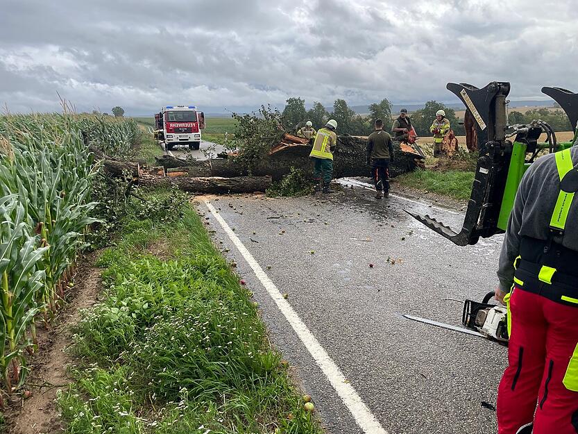 Die Feuerwehr Ittlingen beseitigt einen umgestürzten Baum.