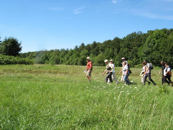 Lesersommer Wanderung