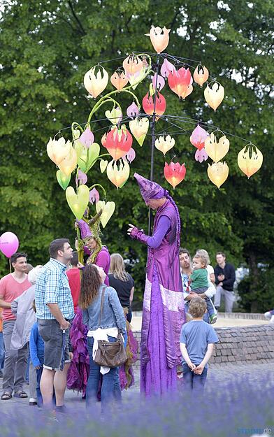 Bad Friedrichshall leuchtet | 11.06.