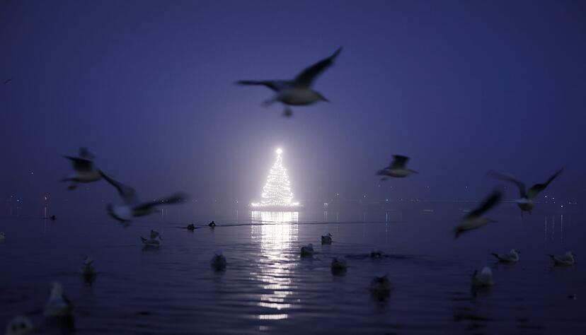 Künstliche Beleuchtung beeinflusst das Verhalten von Vögeln. (Archivbild) Künstliche Beleuchtung beeinflusst das Verhalten von Vögeln. (Archivbild)