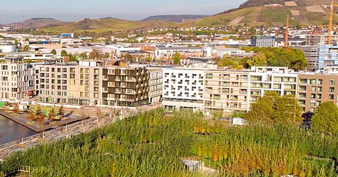 Nicht nur Heilbronn, die gesamte Region ist ein Gewinner dieser Buga. Foto: Buga