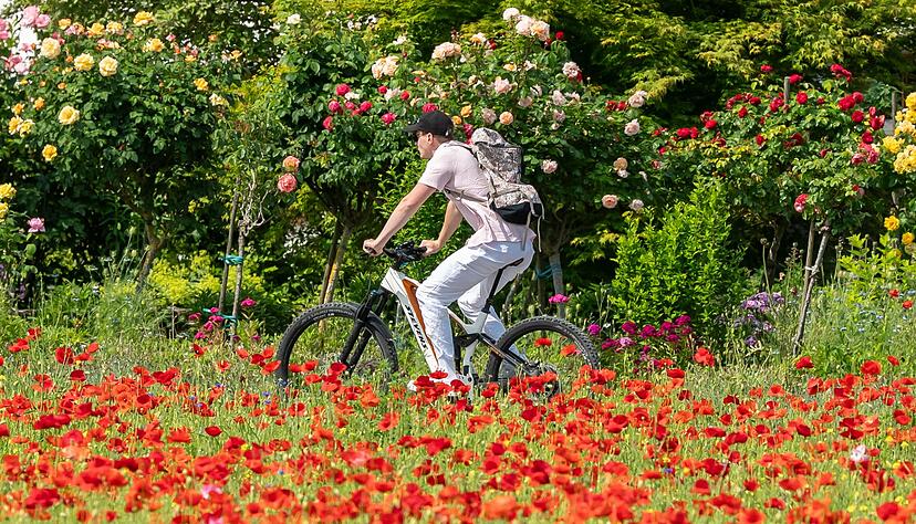 Es wird sehr warm in Baden-Württemberg. (Foto-Aktuell)