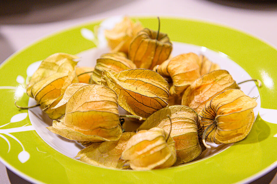 Küchenparty in der KüchenArena Küchenparty in der KüchenArena