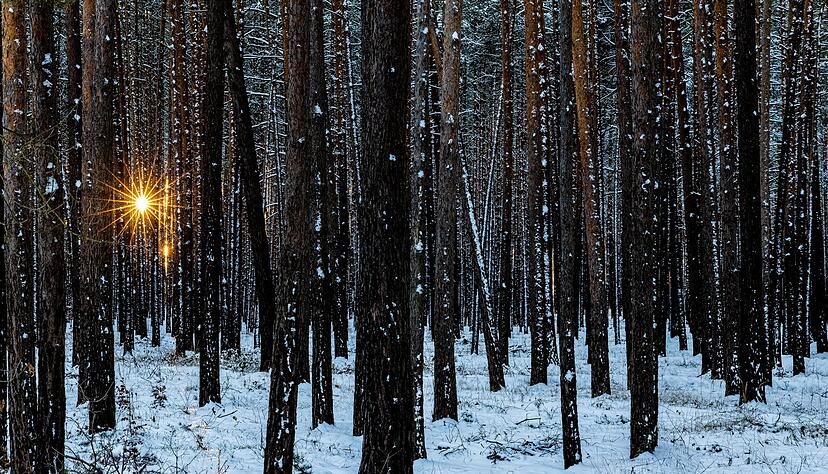 Im Winter muss der K&ouml;rper auf die Vitamin-D-Speicher im K&ouml;rper zugreifen. (Symbolbild)