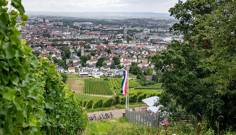 Blick ins Grüne über Heilbronn: Die Stadt nimmt einen neuen Anlauf, um Europas Umwelthauptstadt zu werden.