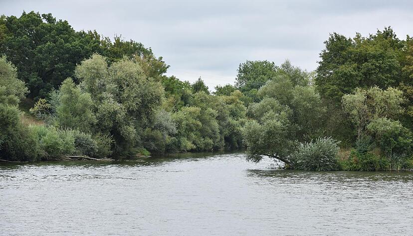 Die Flussmündung der Jagst (l) in den Neckar: Die Brühe aus dem Chemieunfall an der Jagst ist mit "für Fische unkritischen Werten" am Montag am Neckar angekommen, teilte die LUBW mit.