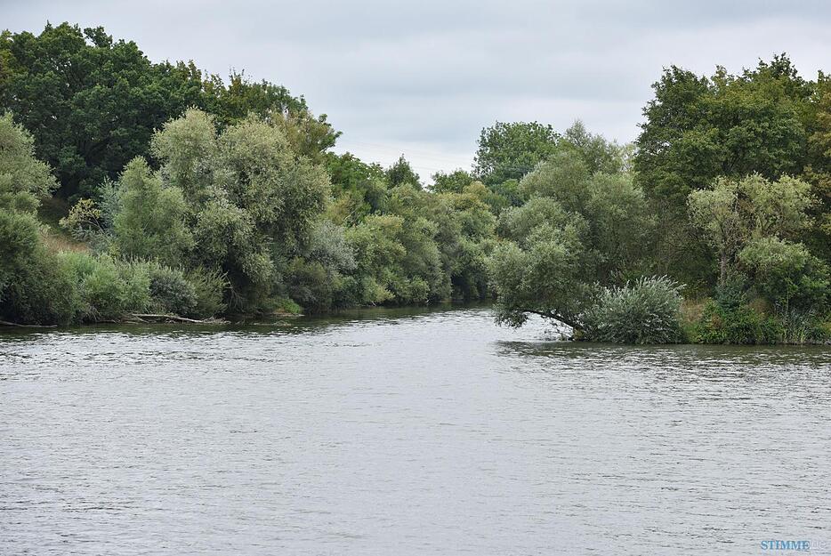 Die Flussmündung der Jagst (l) in den Neckar: Die Brühe aus dem Chemieunfall an der Jagst ist mit "für Fische unkritischen Werten" am Montag am Neckar angekommen, teilte die LUBW mit.
